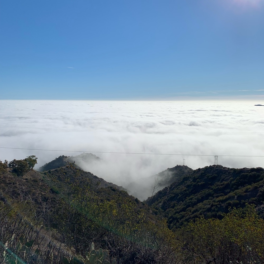 Meet your Posher, Andres